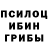 Псилоцибиновые грибы мицелий Smill Phy