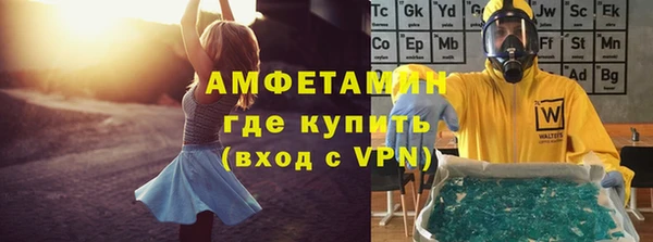 прущие грибы Сосновоборск