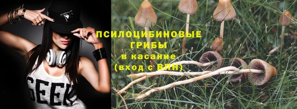 мескалин Балахна