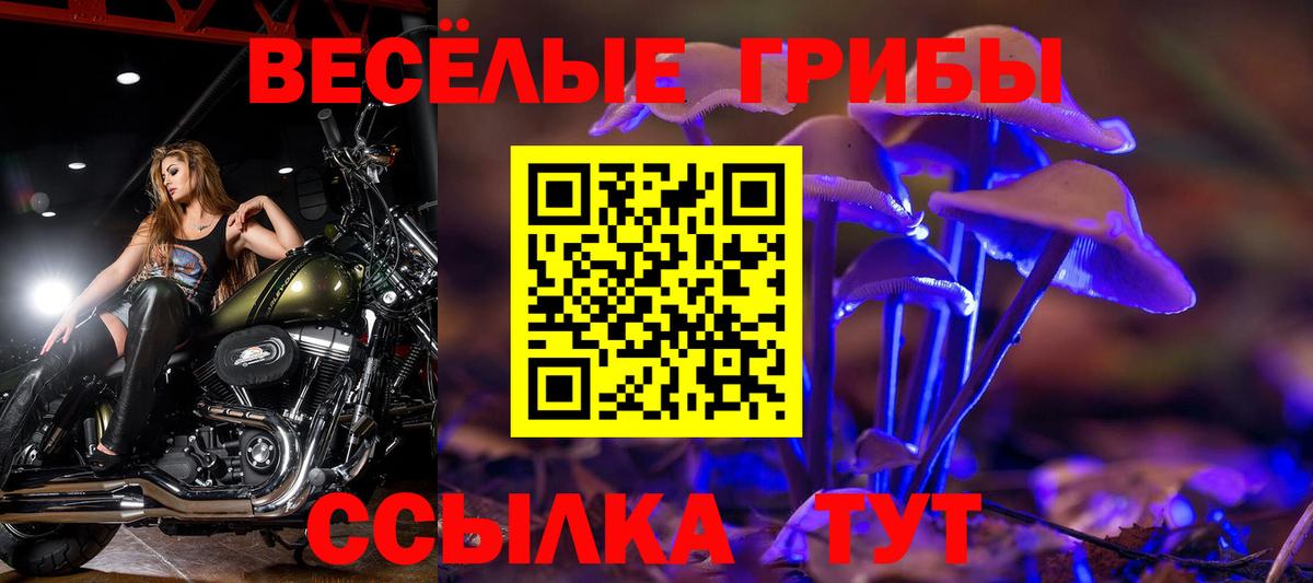 Воскресенск  Псилоцибиновые грибы Magic Shrooms  Вход с VPN 